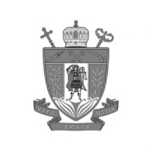 partner icon